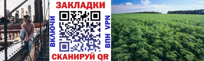 Где купить наркотики Острогожск ГАШ Альфа ПВП АМФ Мефедрон