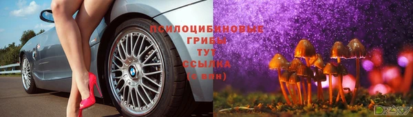 герыч Белокуриха