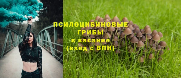 бутират Богданович