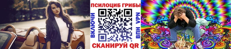 где купить наркотик  omg маркетплейс  Псилоцибиновые грибы Cubensis  нарко площадка Telegram  Острогожск 