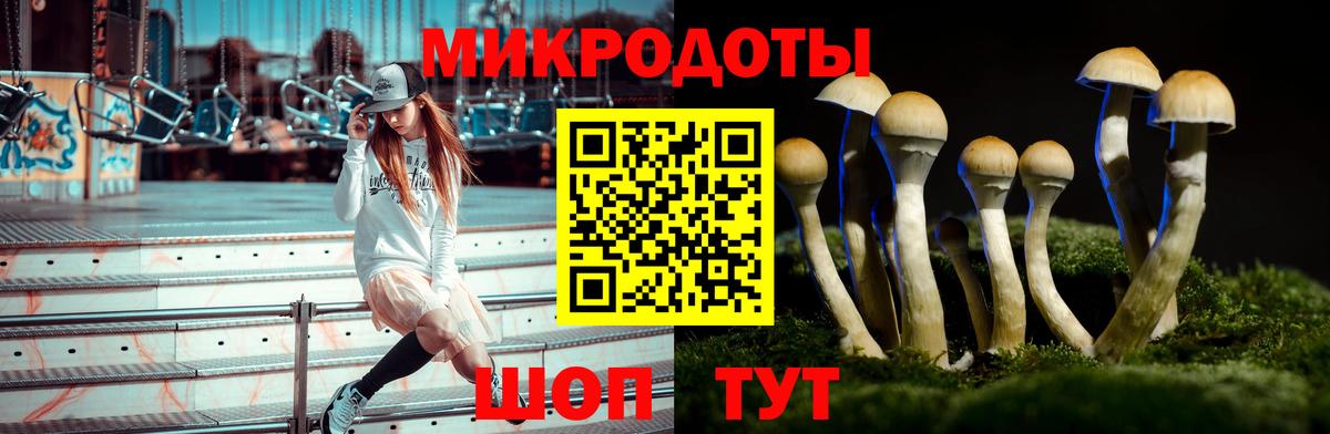 Галлюциногенные грибы Psilocybine cubensis Острогожск